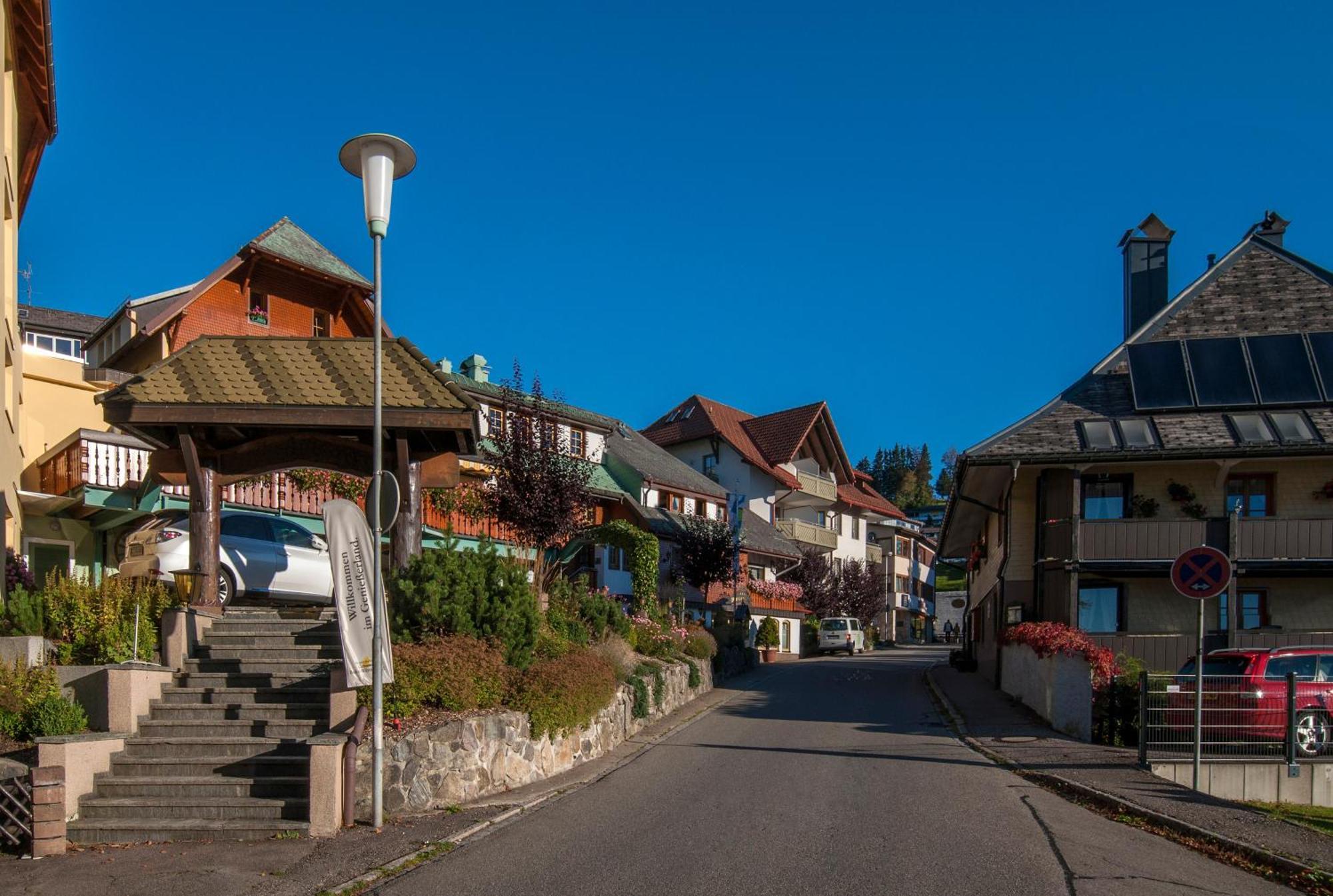 Apartment 06 - Ferienresidenz Roseneck, 2 Schlafzimmer, Mit Schwimmbad In Todtnauberg Bei Feldberg Bagian luar foto